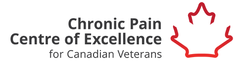 Chronic Pain Centre of Excellence